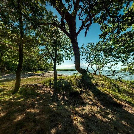 Traumhaff Kuestenchalets - Einzigartige Chalets An Der Ostsee. Ganz Aus Laerchenholz Mit Kamin Und Sauna Vogelsang-Warsin المظهر الخارجي الصورة