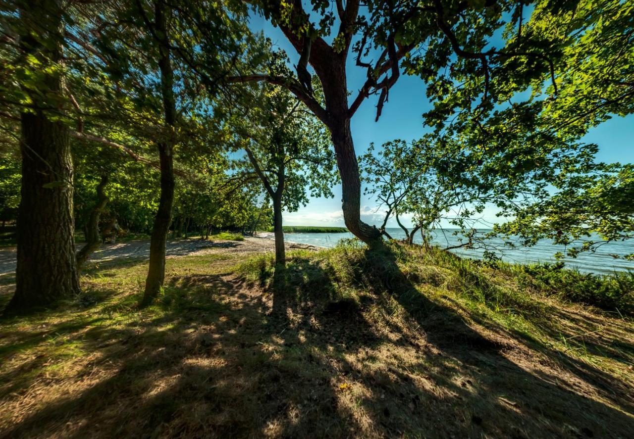 Traumhaff Kuestenchalets - Einzigartige Chalets An Der Ostsee. Ganz Aus Laerchenholz Mit Kamin Und Sauna Vogelsang-Warsin المظهر الخارجي الصورة
